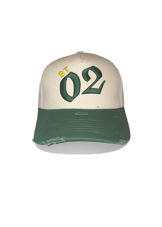 02-DT Logo Hat