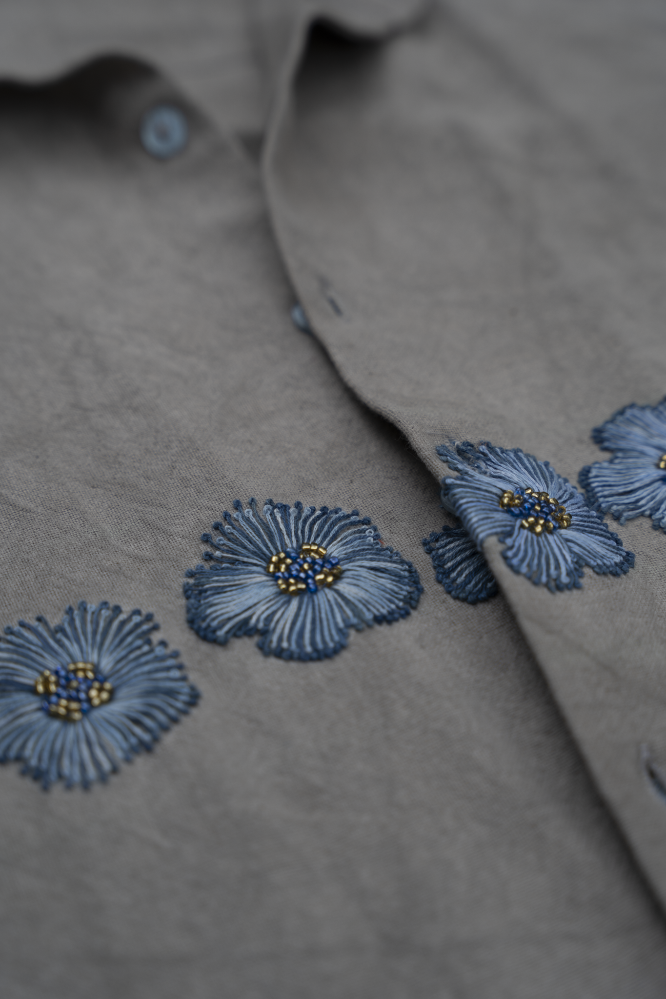 Himalayan Poppy