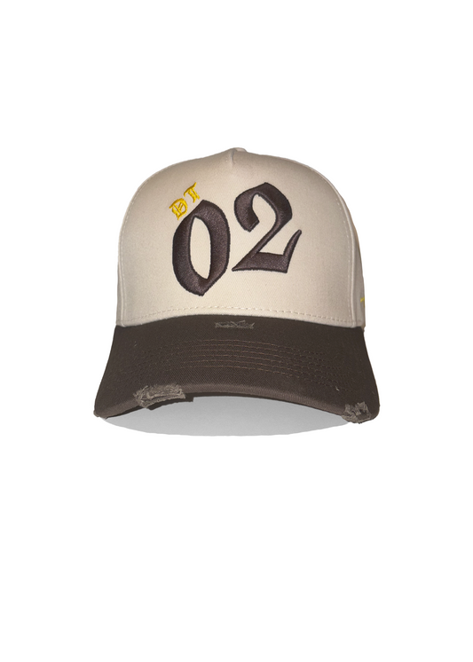 02-DT Logo Hat